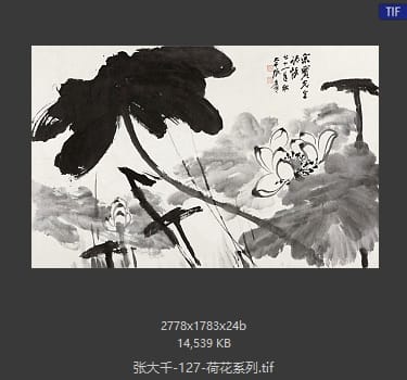 张大千 荷花系列07
