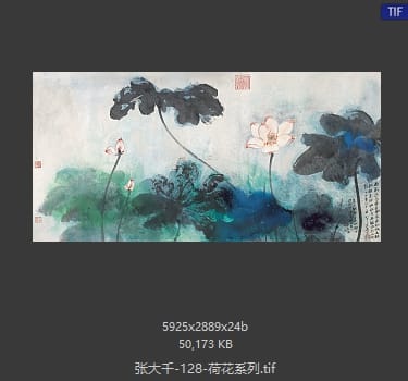 张大千 荷花系列08