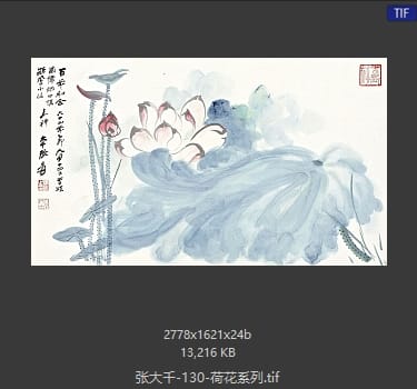 张大千 荷花系列10
