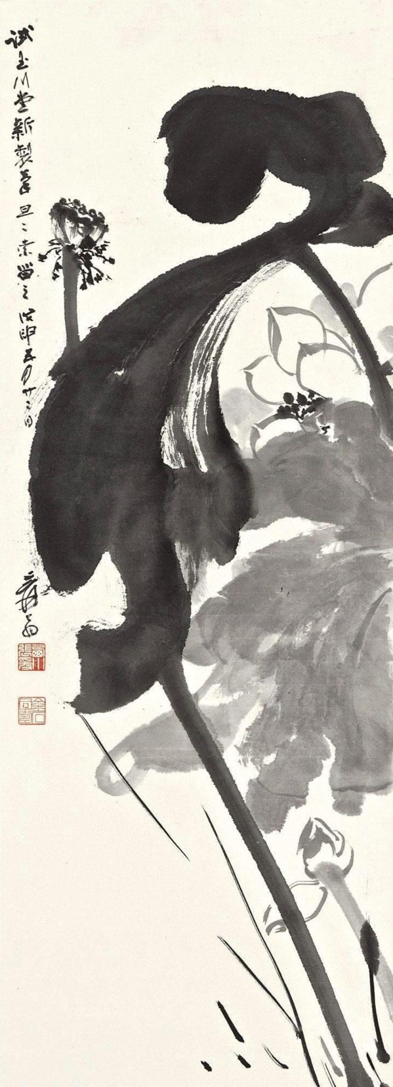 张大千 荷花系列12