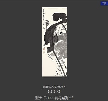 张大千 荷花系列12