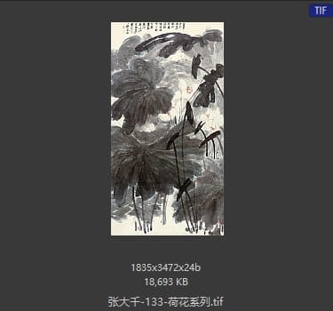 张大千 荷花系列13