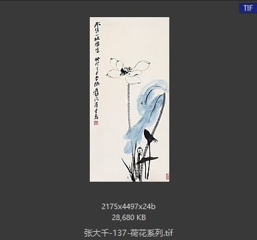张大千 荷花系列17
