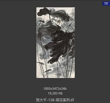 张大千 荷花系列18
