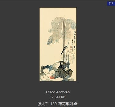 张大千 荷花系列19