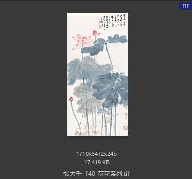 张大千 荷花系列20