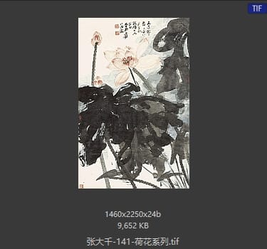 张大千 荷花系列21