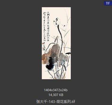 张大千 荷花系列23