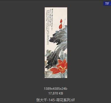 张大千 荷花系列25