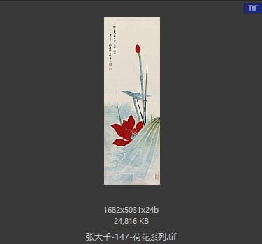张大千 荷花系列27