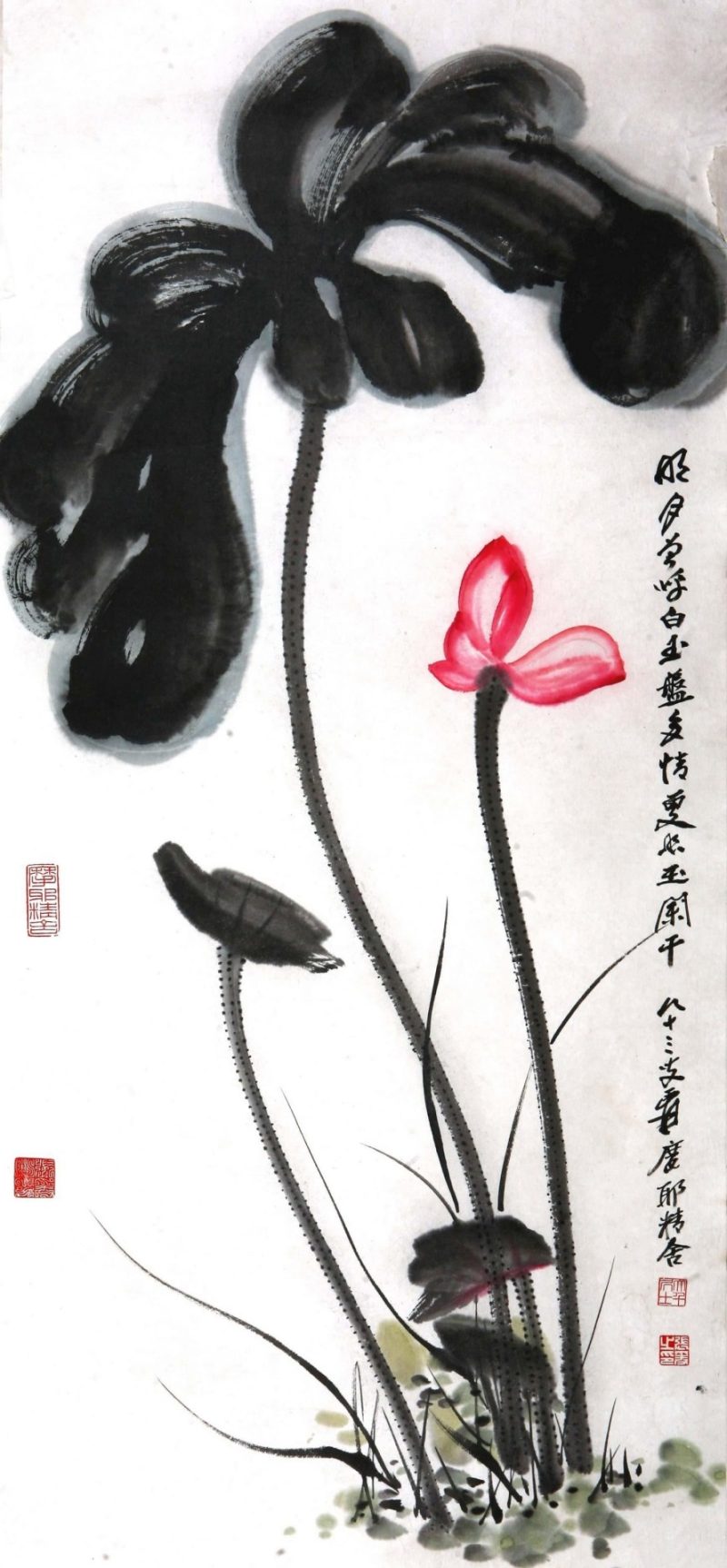 张大千 荷花系列28