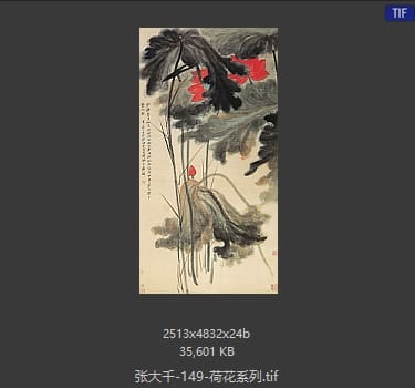 张大千 荷花系列29