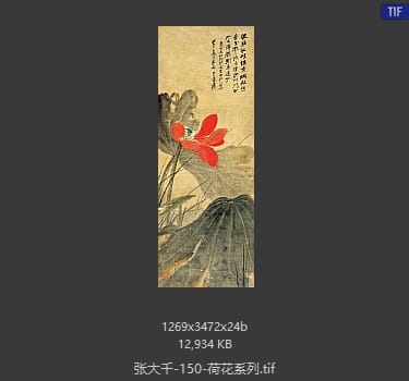 张大千 荷花系列30