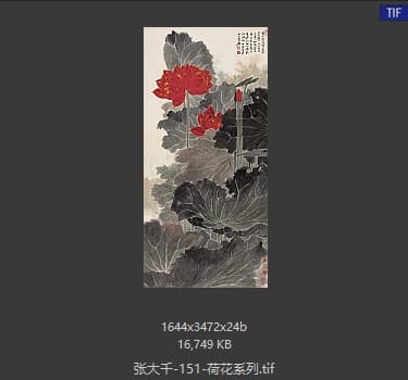 张大千 荷花系列31