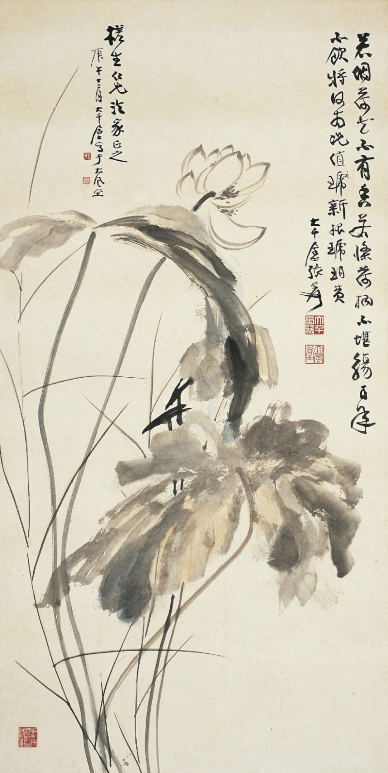 张大千 荷花系列32
