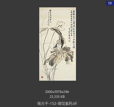 张大千 荷花系列32