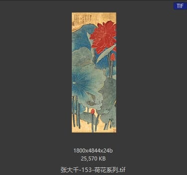 张大千 荷花系列33