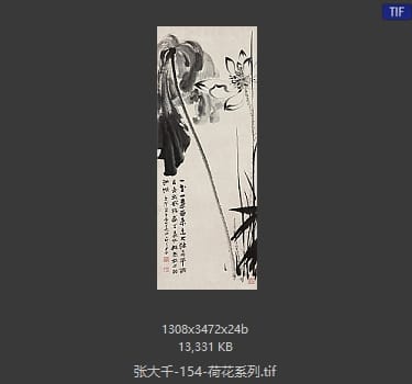 张大千 荷花系列34