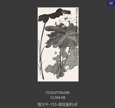 张大千 荷花系列35