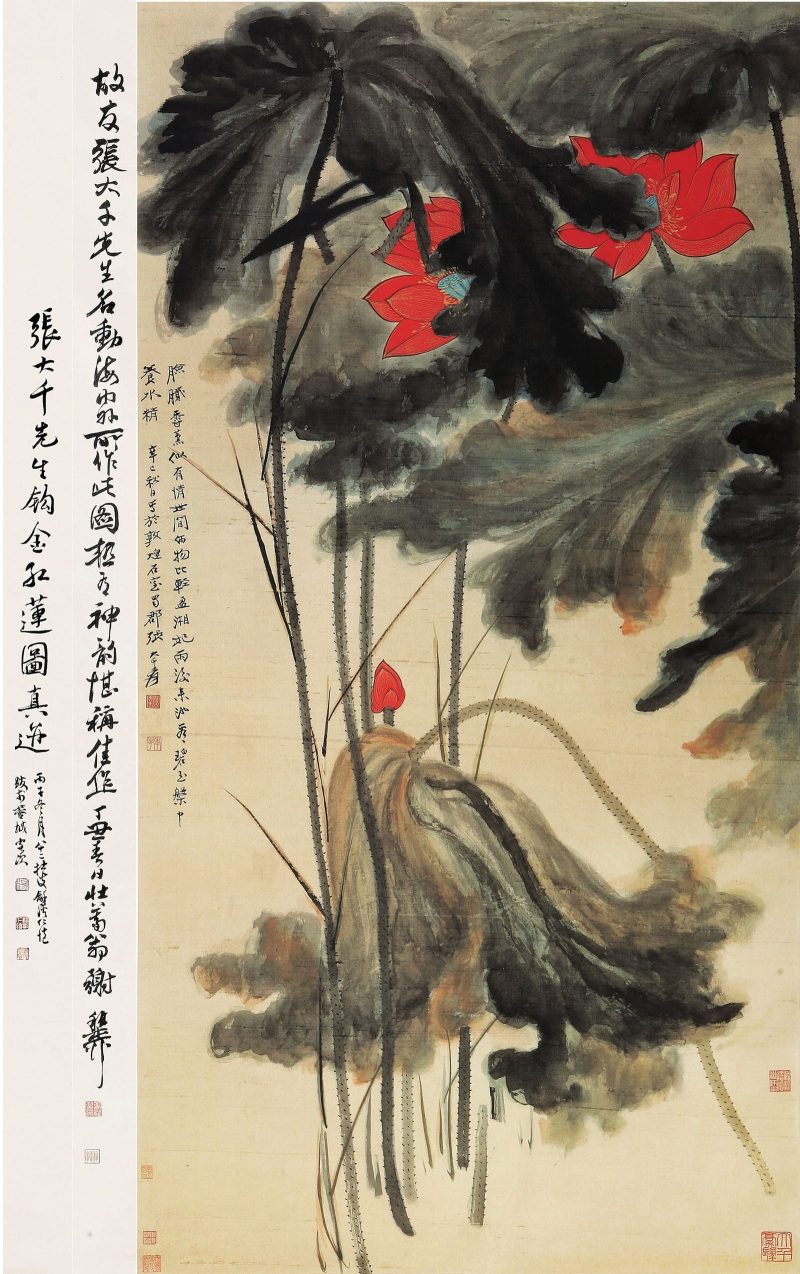 张大千 荷花系列36