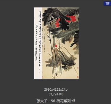 张大千 荷花系列36