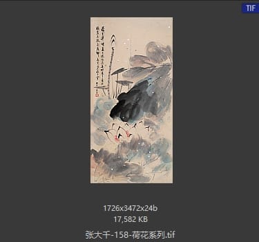 张大千 荷花系列38