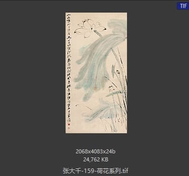 张大千 荷花系列39