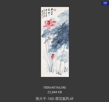 张大千 荷花系列40