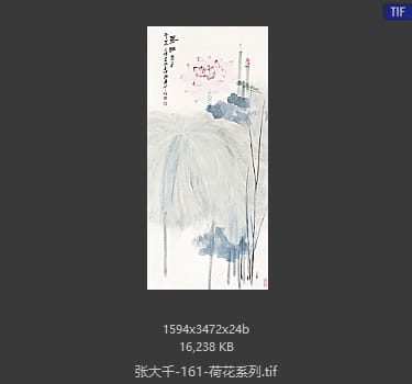 张大千 荷花系列41
