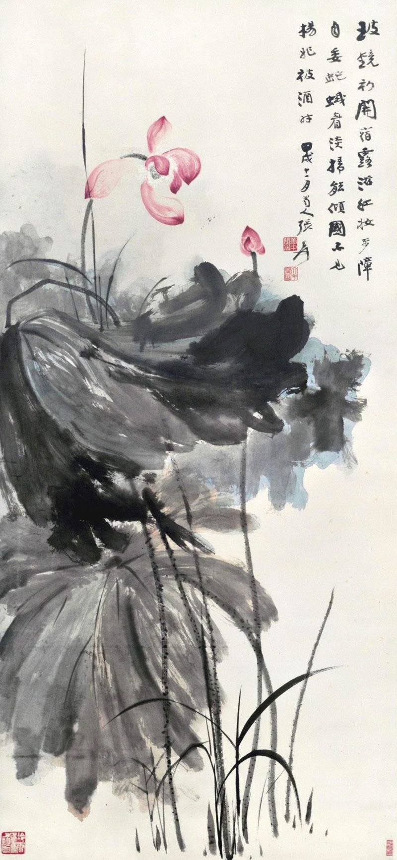 张大千 荷花系列42
