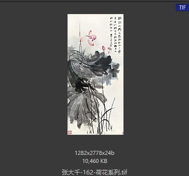 张大千 荷花系列42