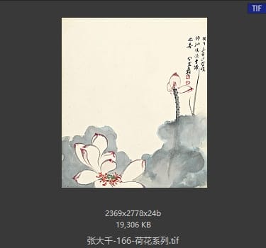 张大千 荷花系列46