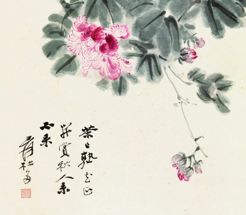 张大千 茶花正开