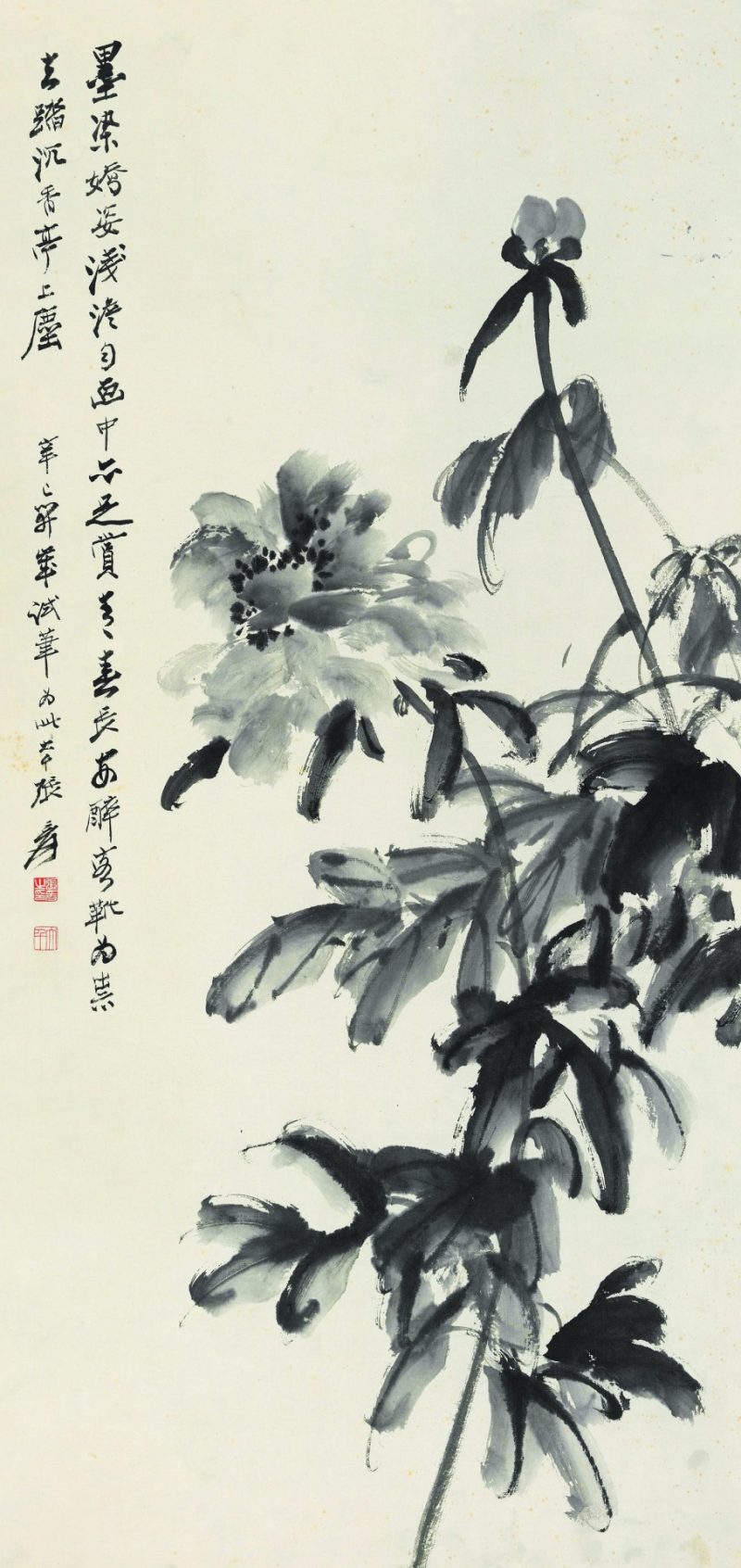 张大千 墨牡丹