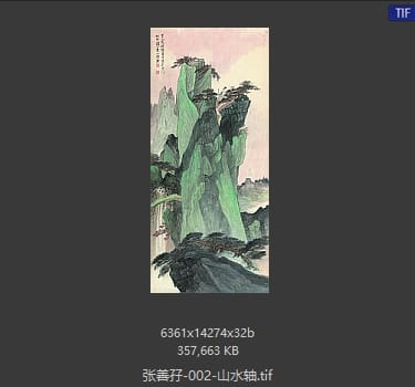 张善孖 山水轴