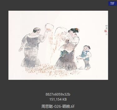 周思聪 晒粮