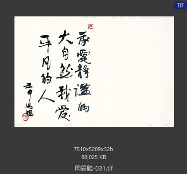 周思聪 #031