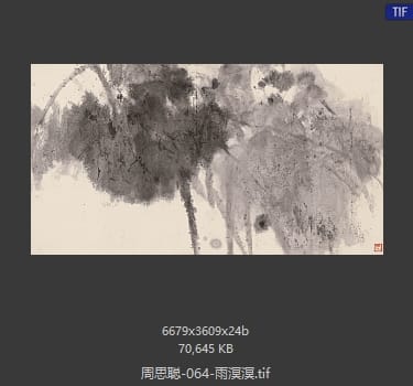 周思聪 雨溟溟