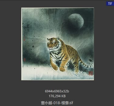 董永越 #018