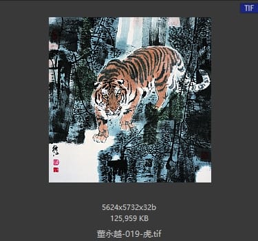 董永越 #019