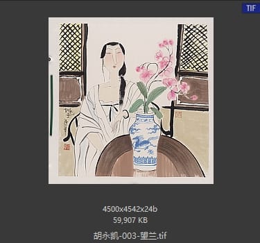 胡永凯 望兰
