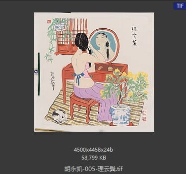 胡永凯 理云鬓