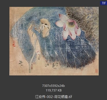 江宏伟 荷花栖禽