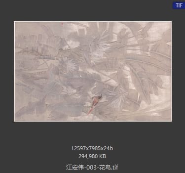 江宏伟 #003
