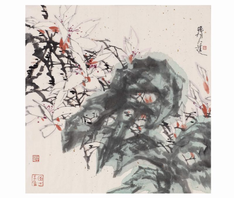 蒋进 白玉兰
