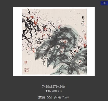 蒋进 白玉兰