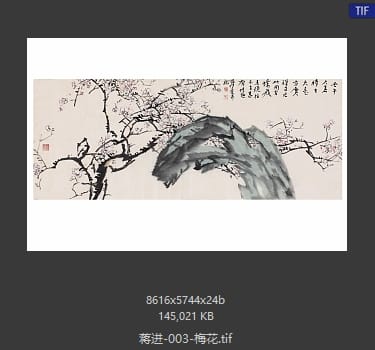 蒋进 梅花