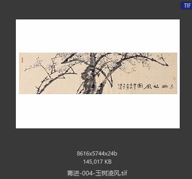 蒋进 玉树凌风