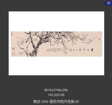 蒋进 雪色帘拢月色新