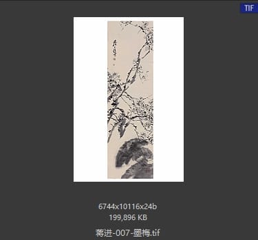 蒋进 墨梅